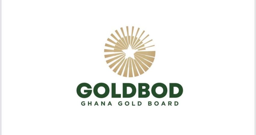 Gold Bod _n