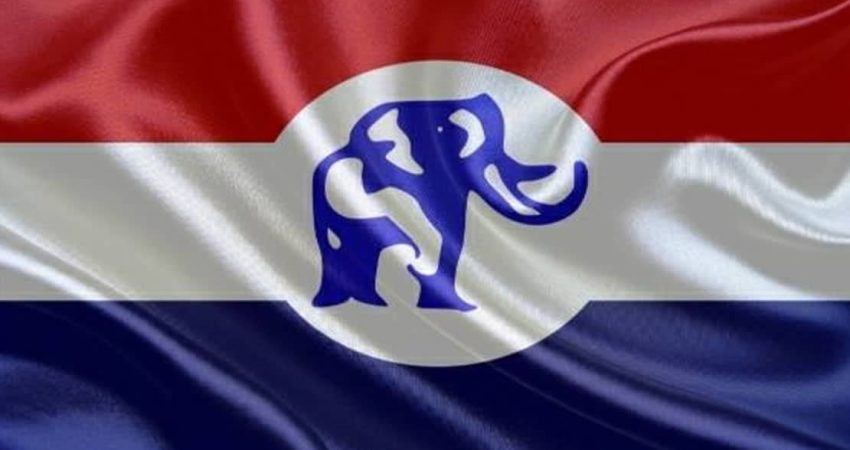 flag flag npp