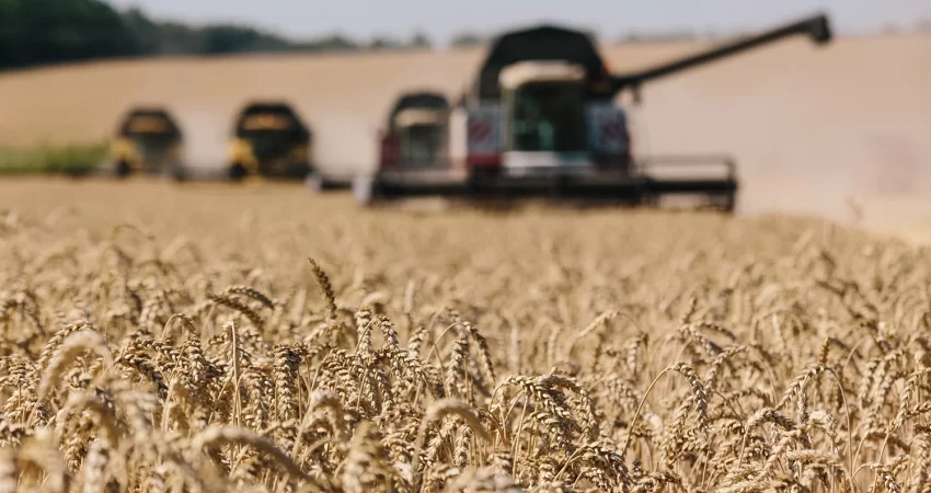 ukraine-wheat_NurPhoto